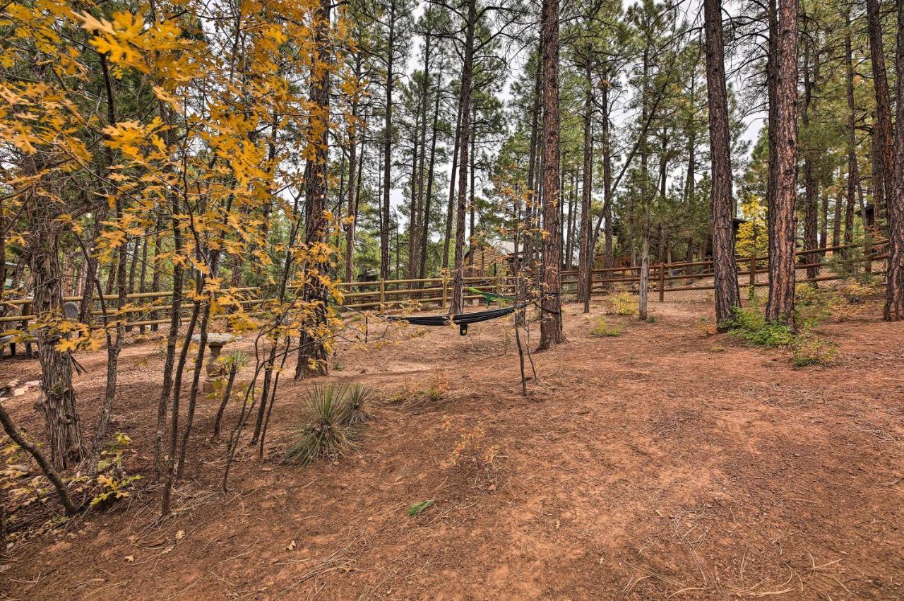 Pet-Friendly Show Low Cabin With Trail Access! Extérieur photo